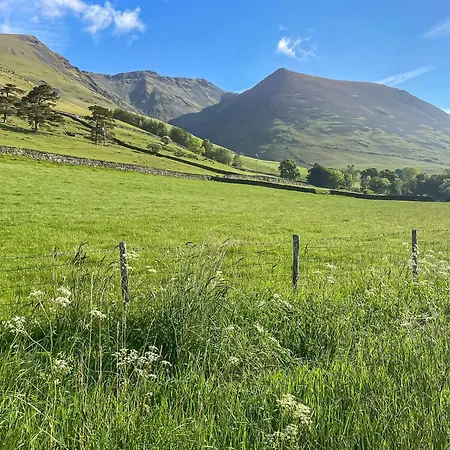 Apple Tree * Threlkeld